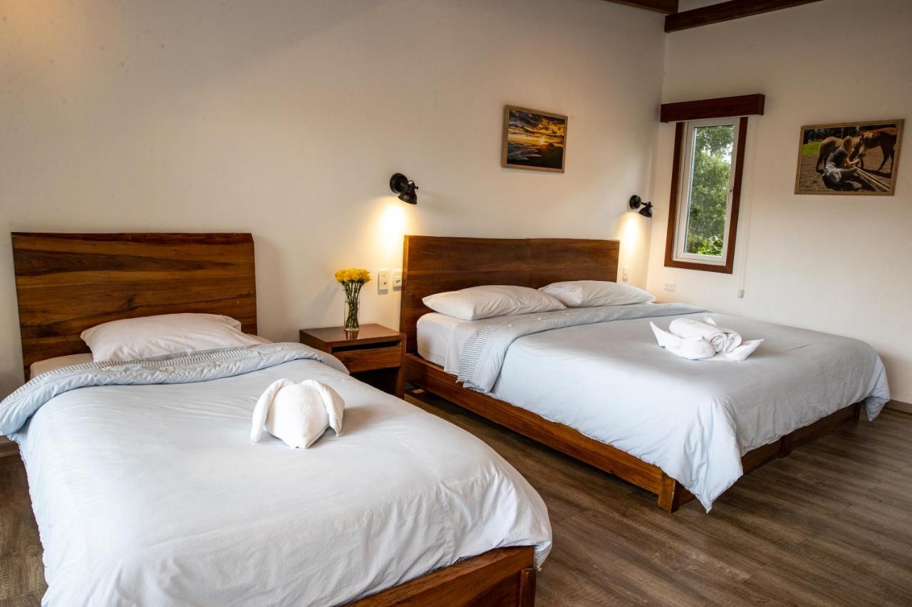 Hosteria Papagayo Cotopaxi Machachi ภายนอก รูปภาพ