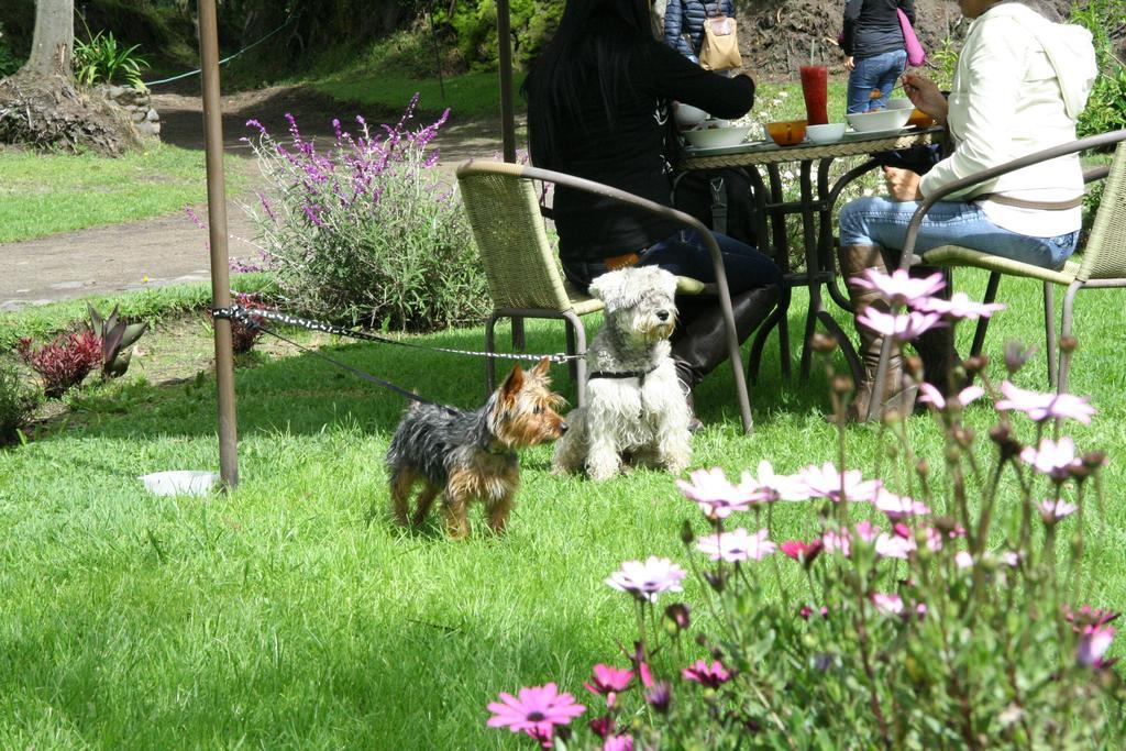 Hosteria Papagayo Cotopaxi Machachi ภายนอก รูปภาพ